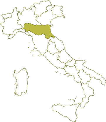 Herkunft Lambrusco