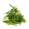 Rucola