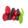 Beerenmix