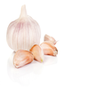 Knoblauch