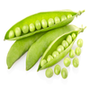 Erbsen